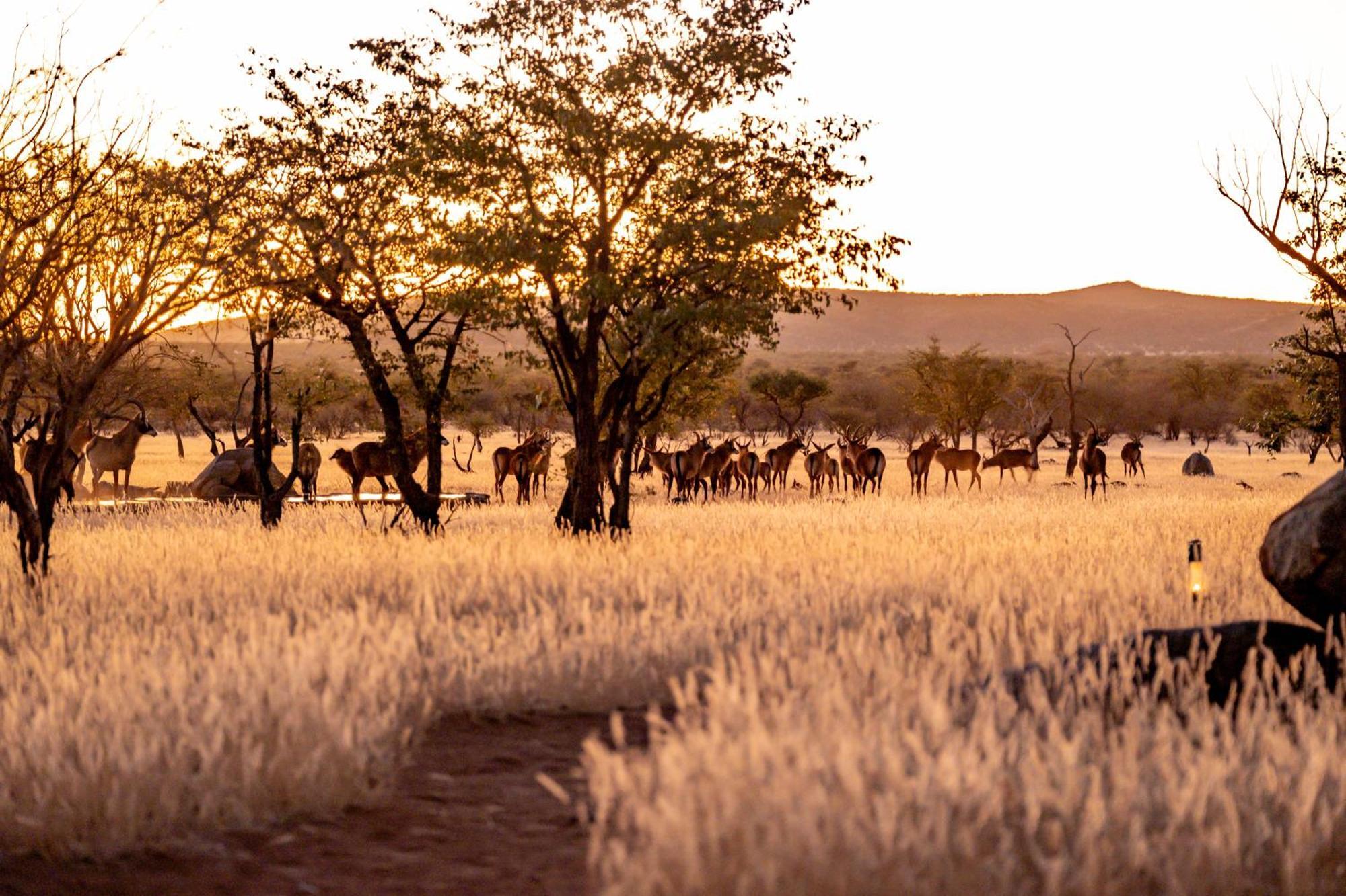 Ohorongo Safari Lodge Kamanjab Exterior foto